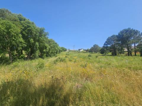 Terreno inserido no perímetro Urbano