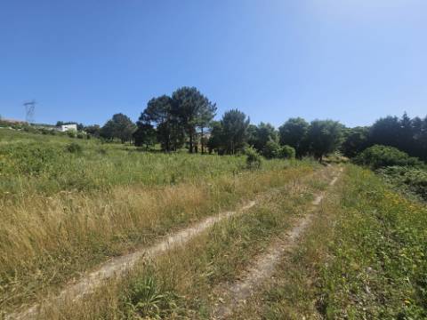 Terreno inserido no perímetro Urbano