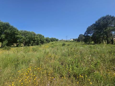 Terreno inserido no perímetro Urbano