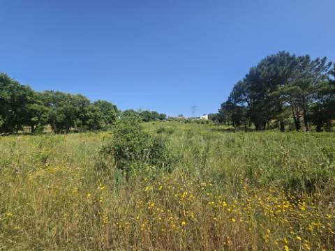 Terreno inserido no perímetro Urbano