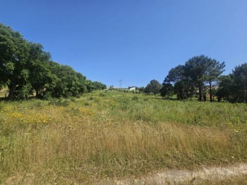 Terreno inserido no perímetro Urbano