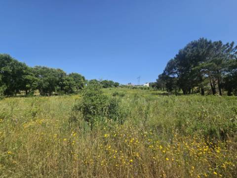 Terreno inserido no perímetro Urbano