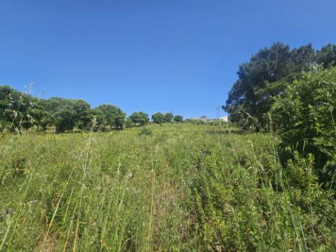 Terreno inserido no perímetro Urbano