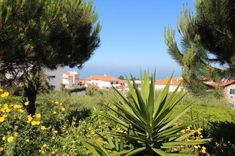 Apartamento T3 no Rés-do-Chão - Nazaré