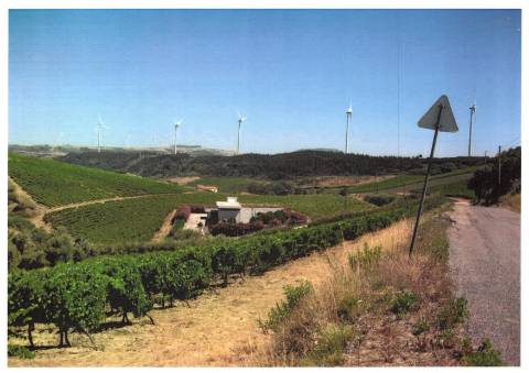 Terreno Agrícola com Vinha Produtiva - Serra da Vila, Torres Vedras