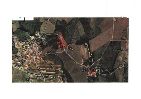 Terreno Agrícola com Vinha Produtiva - Serra da Vila, Torres Vedras