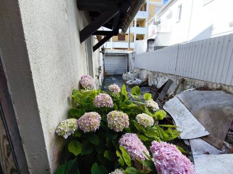 Moradia T3 | São Martinho do Porto