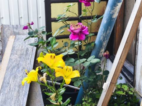 Moradia T3 | São Martinho do Porto