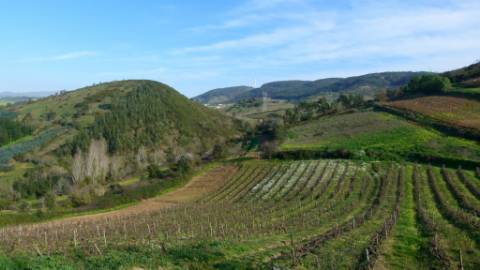 Casa Antiga com Charme - T2 com Vista Serra