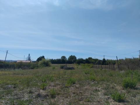 Terreno Urbano com 2500m2