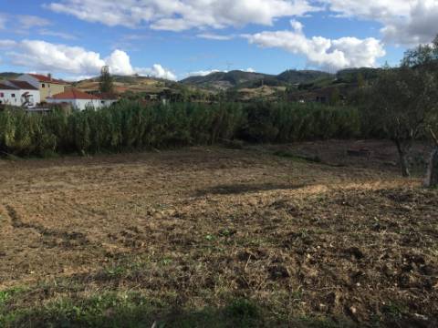 Terreno Rústico em Maxial e Monte Redondo - Torres Vedras
