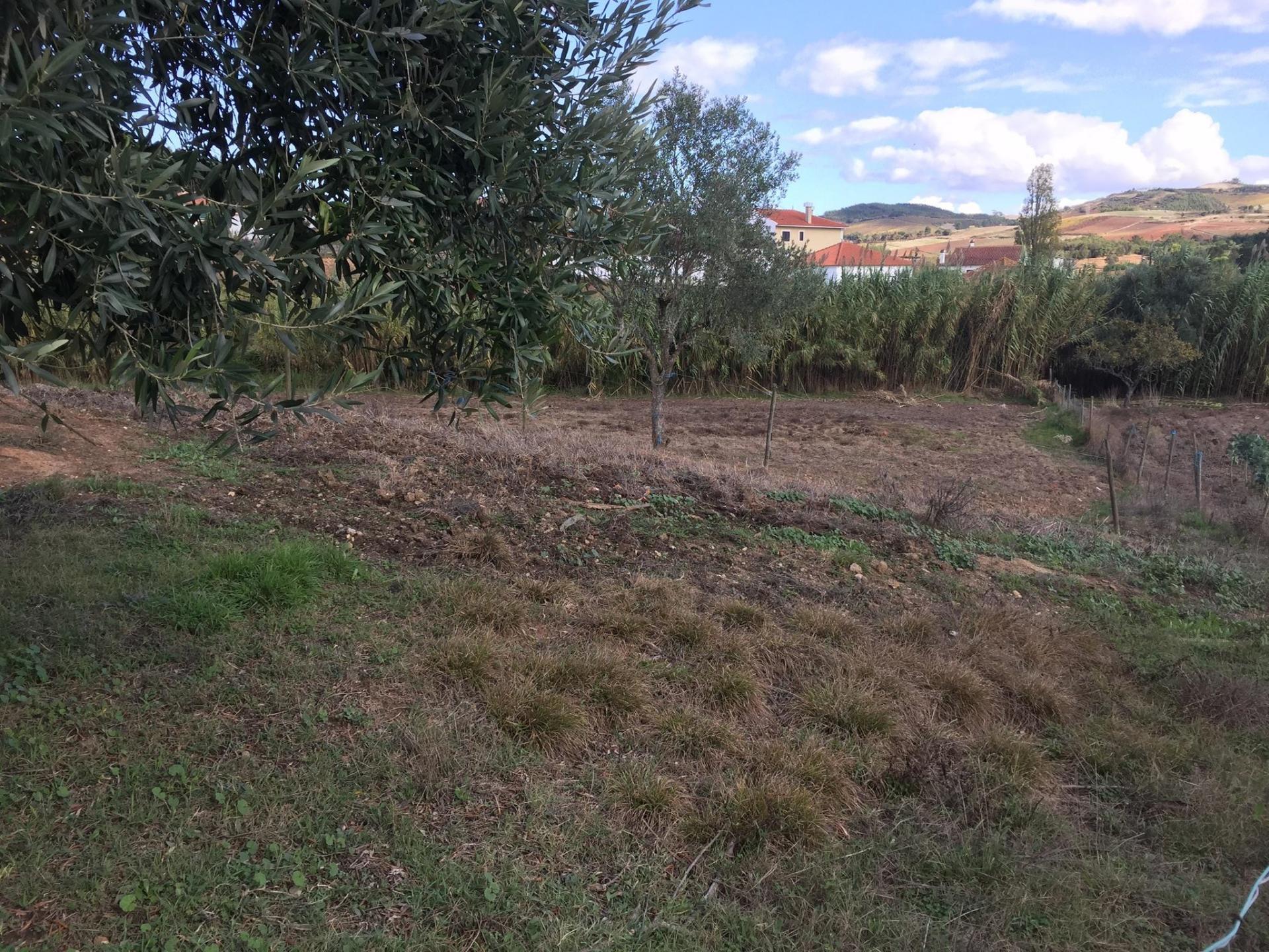 Terreno Rústico em Maxial e Monte Redondo - Torres Vedras