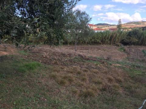 Terreno Rústico em Maxial e Monte Redondo - Torres Vedras