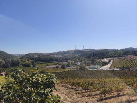 Moradia dois pisos para restauro