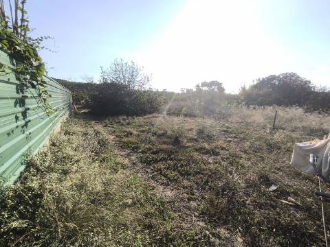 Moradia com dois pisos independentes, garagem e espaço exterior