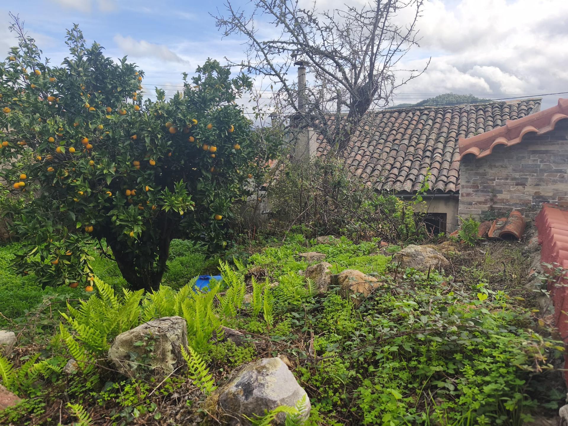 Moradia antiga com grande potencial em Conhais, Góis