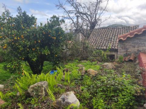 Moradia antiga com grande potencial em Conhais, Góis