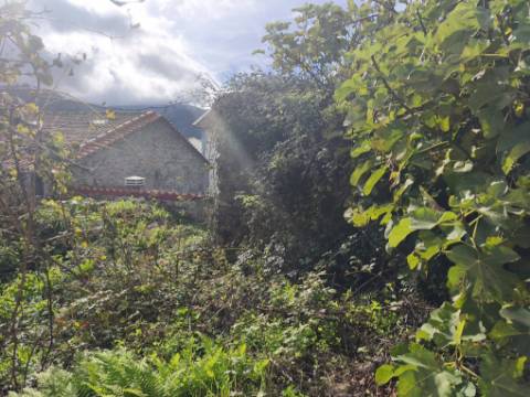 Moradia antiga com grande potencial em Conhais, Góis