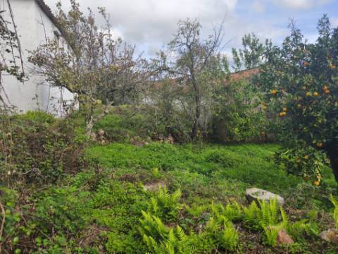 Moradia antiga com grande potencial em Conhais, Góis