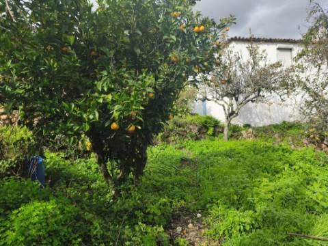 Moradia antiga com grande potencial em Conhais, Góis