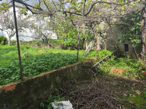 Moradia antiga com grande potencial em Conhais, Góis