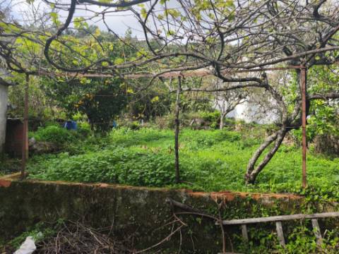 Moradia antiga com grande potencial em Conhais, Góis