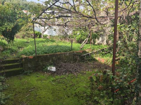 Moradia antiga com grande potencial em Conhais, Góis