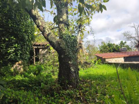 Moradia antiga com grande potencial em Conhais, Góis