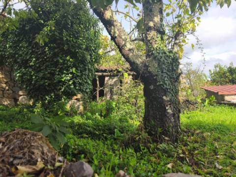 Moradia antiga com grande potencial em Conhais, Góis