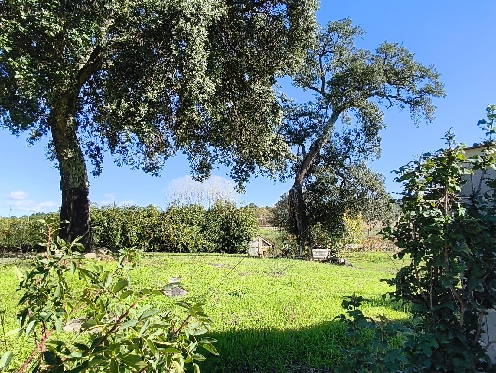 Herdade em Juncais - Fornos de Algodres, Guarda