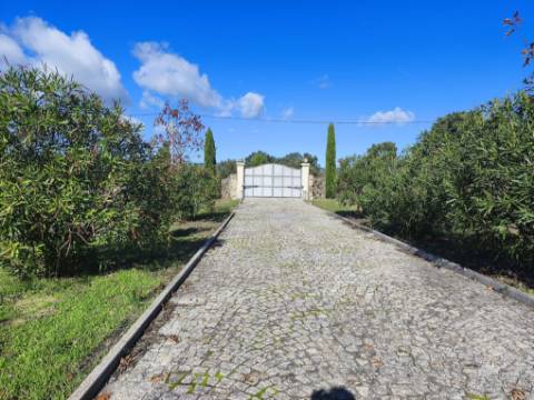 Herdade em Juncais - Fornos de Algodres, Guarda