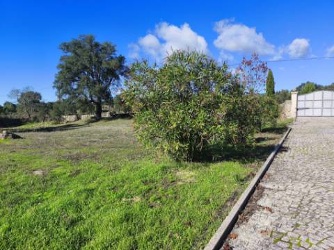 Herdade em Juncais - Fornos de Algodres, Guarda