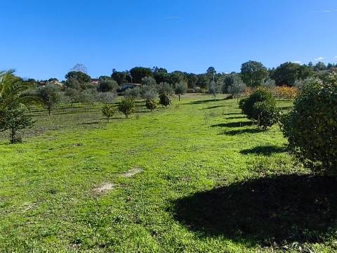 Herdade em Juncais - Fornos de Algodres, Guarda