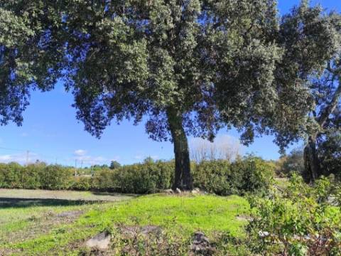 Herdade em Juncais - Fornos de Algodres, Guarda