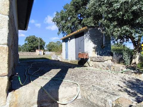 Herdade em Juncais - Fornos de Algodres, Guarda