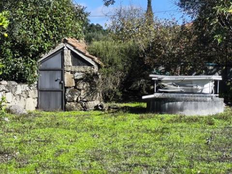 Herdade em Juncais - Fornos de Algodres, Guarda