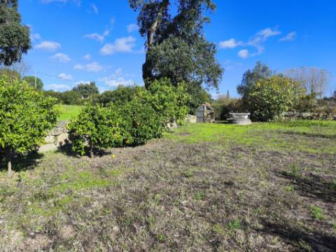 Herdade em Juncais - Fornos de Algodres, Guarda