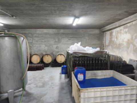 Moradia com Pavilhão e Potencial de Construção até 3 Andares