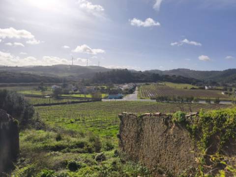 Moradia com Pavilhão e Potencial de Construção até 3 Andares