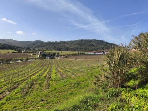 Moradia com Pavilhão e Potencial de Construção até 3 Andares