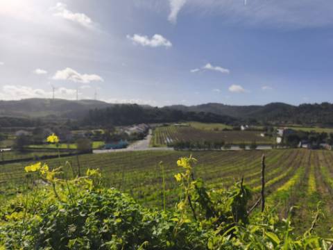 Moradia com Pavilhão e Potencial de Construção até 3 Andares