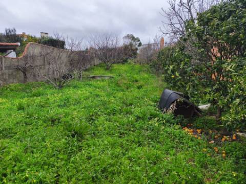 Moradia térrea para recuperar