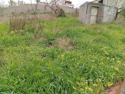 Casa antiga com quintal