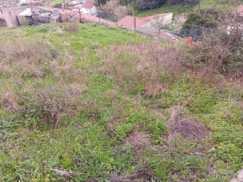 Casa antiga com quintal