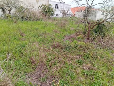 Casa antiga com quintal