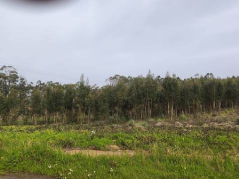 Terreno misto para construção.