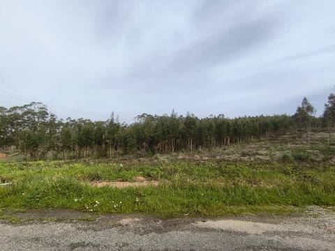 Terreno misto para construção.