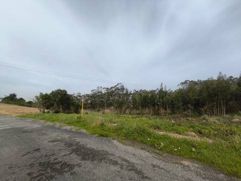 Terreno misto para construção.