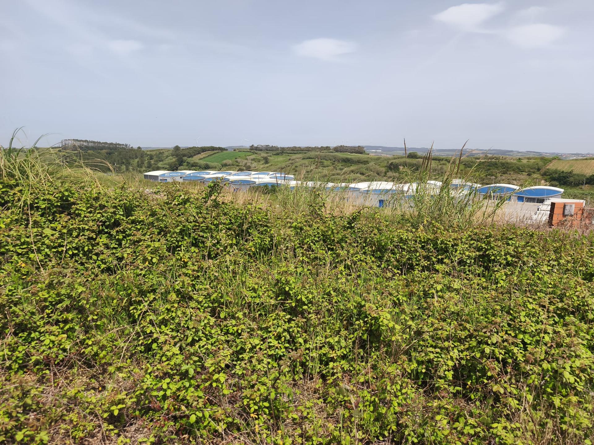 Terreno Urbano para Construção