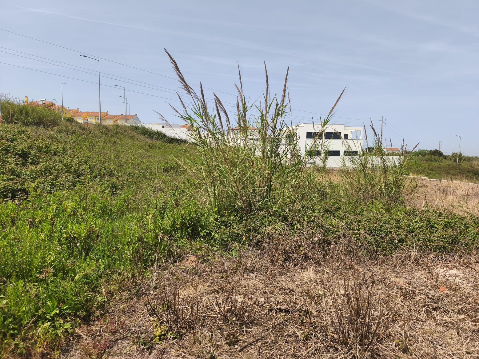 Terreno Urbano para Construção
